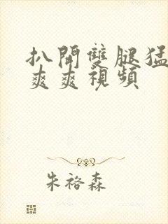 扒开双腿猛入看爽爽视频