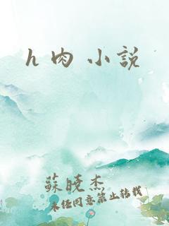 h 肉 小说