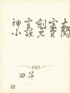 神霄剑宗大师兄小说免费阅读