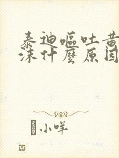 泰迪呕吐黄水泡沫什么原因