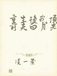 重生后我顶替了前夫白月光原著作者