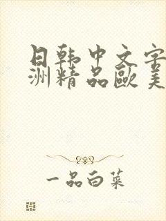 日韩中文字幕亚洲精品欧美人妻在线