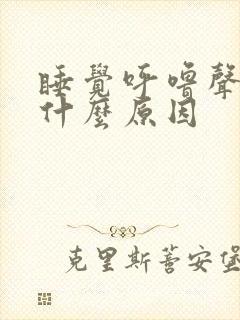 睡觉呼噜声大是什么原因