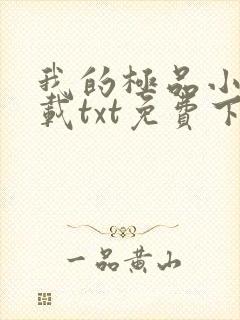 我的极品小姨下载txt免费下载