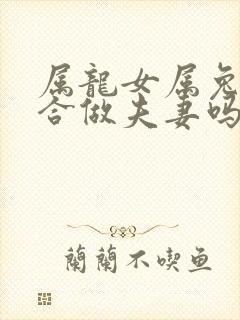 属龙女属兔男适合做夫妻吗