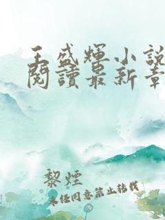 王盛辉小说免费阅读最新章节