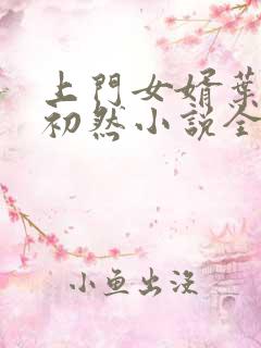 上门女婿叶辰萧初然小说全集