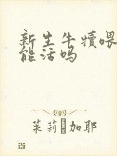 新生牛犊喂奶粉能活吗