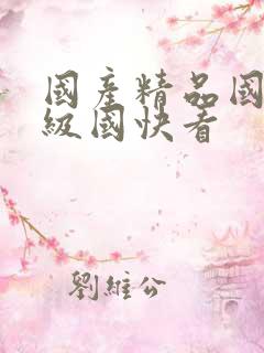 国产精品国产三级国快看