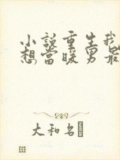 小说重生我真没想当暖男最新章节