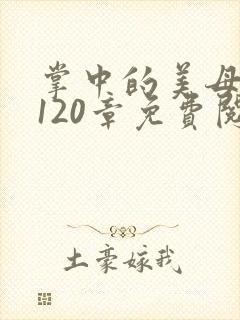 掌中的美母版主120章免费阅读