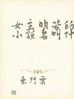 女主明若的穿越小说名叫什么