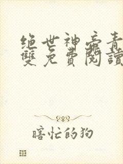 绝世神帝青衣无双免费阅读