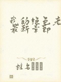 我的绝色老板娘最新章节