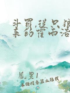 斗罗,从只狼归来的霍雨浩笔趣阁