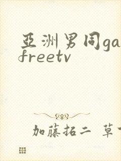 亚洲男同gayfreetv
