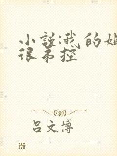 小说:我的姐姐很弟控