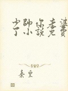 少帅你老婆又跑了小说免费阅读