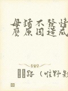 母猪不发情是什么原因造成的