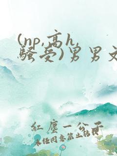 (np,高h,骚受)男男文