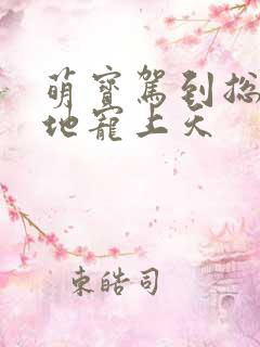 萌宝驾到总裁爹地宠上天