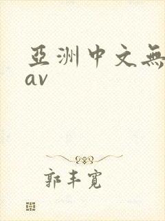 亚洲中文无字幕av