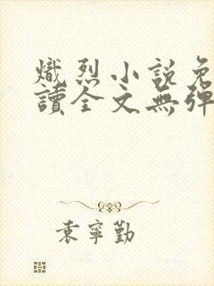 炽烈小说免费阅读全文无弹窗