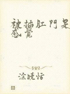 被插肛门是什么感觉