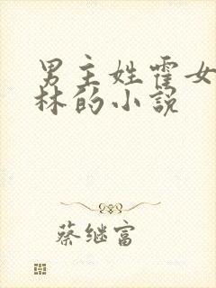 男主姓霍女主姓林的小说