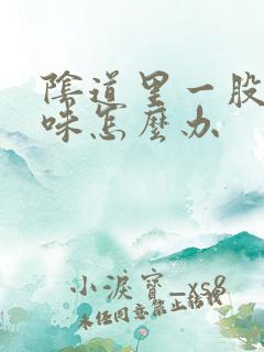 阴道里一股腥臭味怎么办