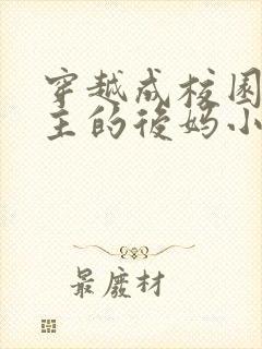 穿越成校园文男主的后妈小说