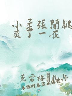 小柔张开腿让我爽了一夜