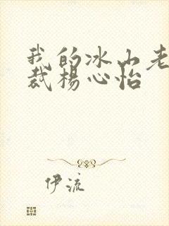 我的冰山老婆总裁杨心怡