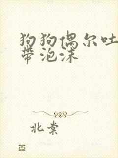 狗狗偶尔吐黄水带泡沫