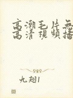 高潮毛片无遮挡高清视频播放