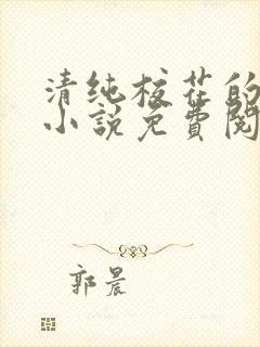 清纯校花的秘密小说免费阅读