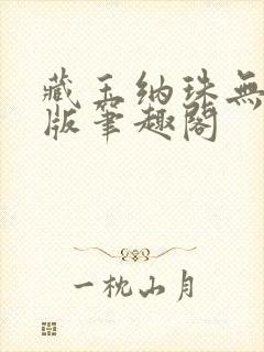 藏玉纳珠无删减版笔趣阁