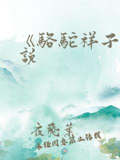 《骆驼祥子》小说