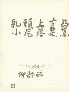 乳头上有凸起的小疙瘩是怎么回事