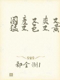 国产又爽又粗又猛又色又黄视频