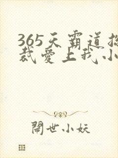 365天霸道总裁爱上我小说