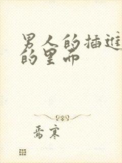 男人的插进女人的里面