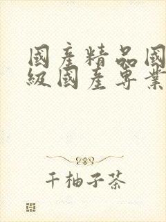 国产精品国产三级国产专业不