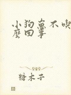 小狗崽不吃食怎么回事