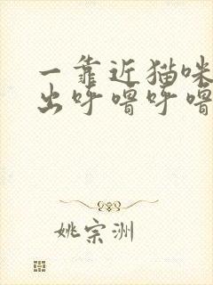 一靠近猫咪就发出呼噜呼噜的声音