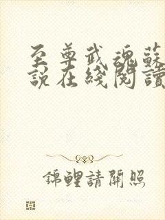 至尊武魂苏莫小说在线阅读