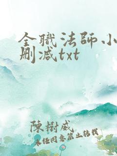 全职法师小说无删减txt