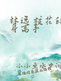 林逸 校花的贴身高手