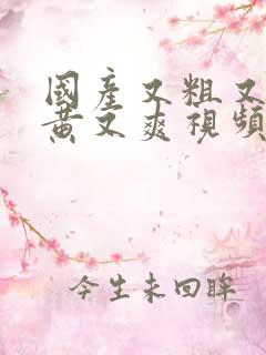 国产又粗又长又黄又爽视频