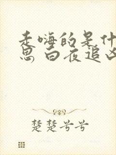 走嗨的是什么意思 白夜追凶